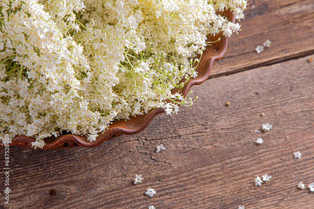 Fototapeta premium Elder flowers. White flower shrub. Harvesting buds for making syrup and drink. Cooking and food in a bowl on the table. Sambucus plant
