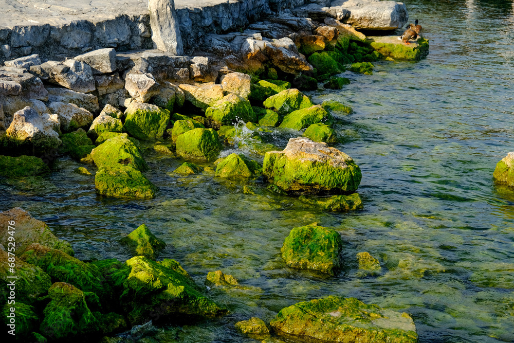 Beautiful landscape in an evening mood by the water in the sunshine.