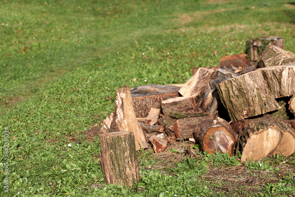 firewood in the grass for heating in the winter firewood in the grass for heating in the winter