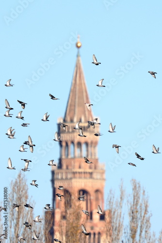 Tableau sur toile cremona