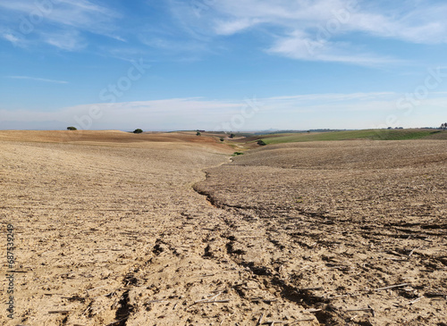 A farmland has been prepared for sowing winter wheat in December in Mediterrean region