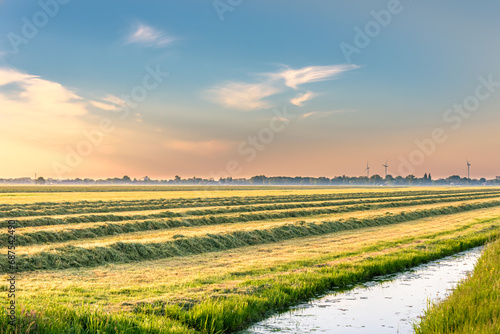 land with freshly cut grass in the morning in the polder near Alphen aan den Rijn photo