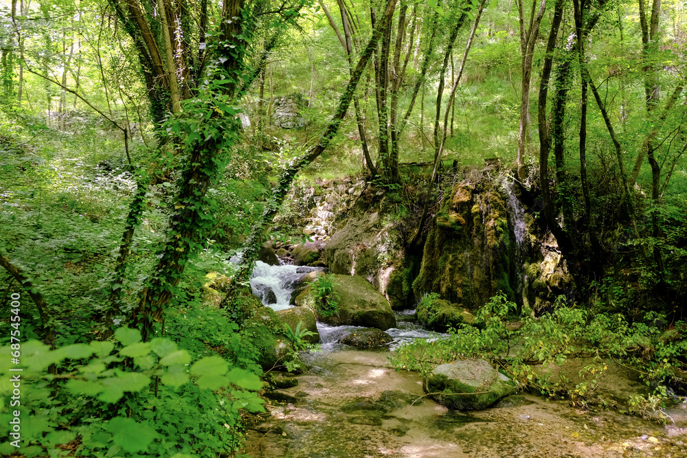 Whether sea, lake or river, water is one of the most beautiful elements of nature. Glistening in the sun, it makes every holiday even more beautiful. Whether sea, lake or river, water is one of the most beautiful elements of nature. Glistening in the sun, it makes every holiday even more beautiful.