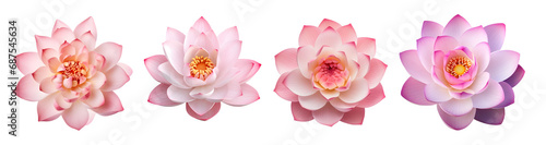 Lotus flower on white background  transparent PNG background  Generative Ai