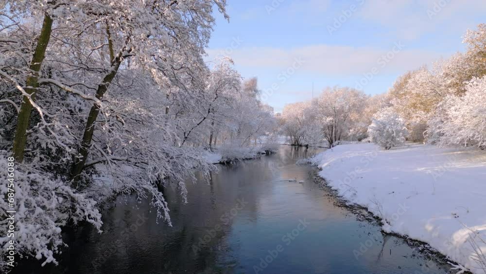 Riverlike stream with swans in snow covered landscape Riverlike stream with swans in snow covered landscape