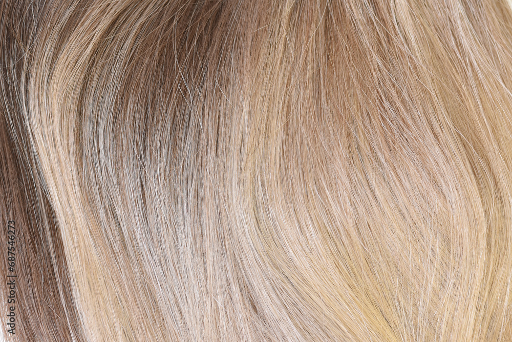 Pattern made of wavy blond beautiful hair.Examples and samples palette of colors.Concept of hair salon care and healthy Pattern made of wavy blond beautiful hair.Examples and samples palette of colors.Concept of hair salon care and healthy