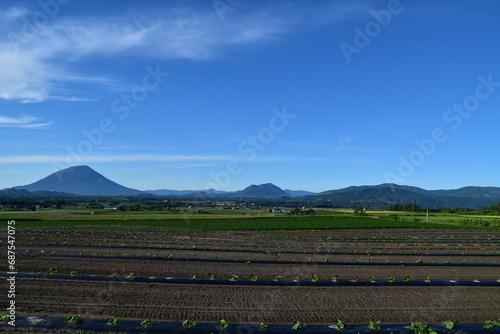 The view of countryside in Hokkaido  Japan