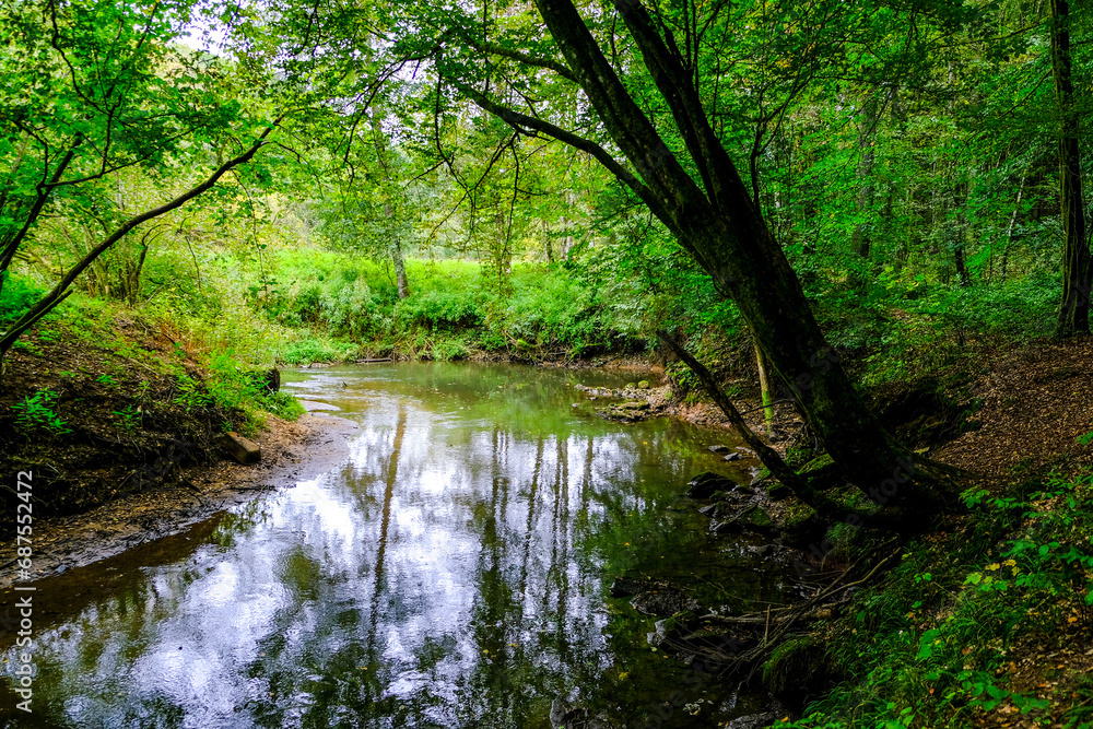 Beautiful landscape in an evening mood by the water in the sunshine. Beautiful landscape in an evening mood by the water in the sunshine.
