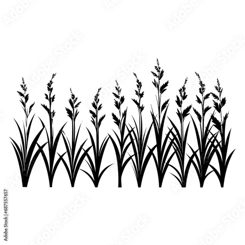 Fototapeta Naklejka Na Ścianę i Meble -  Vector Illustration of Grass