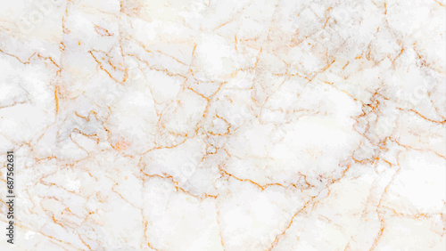 white marble texture vector