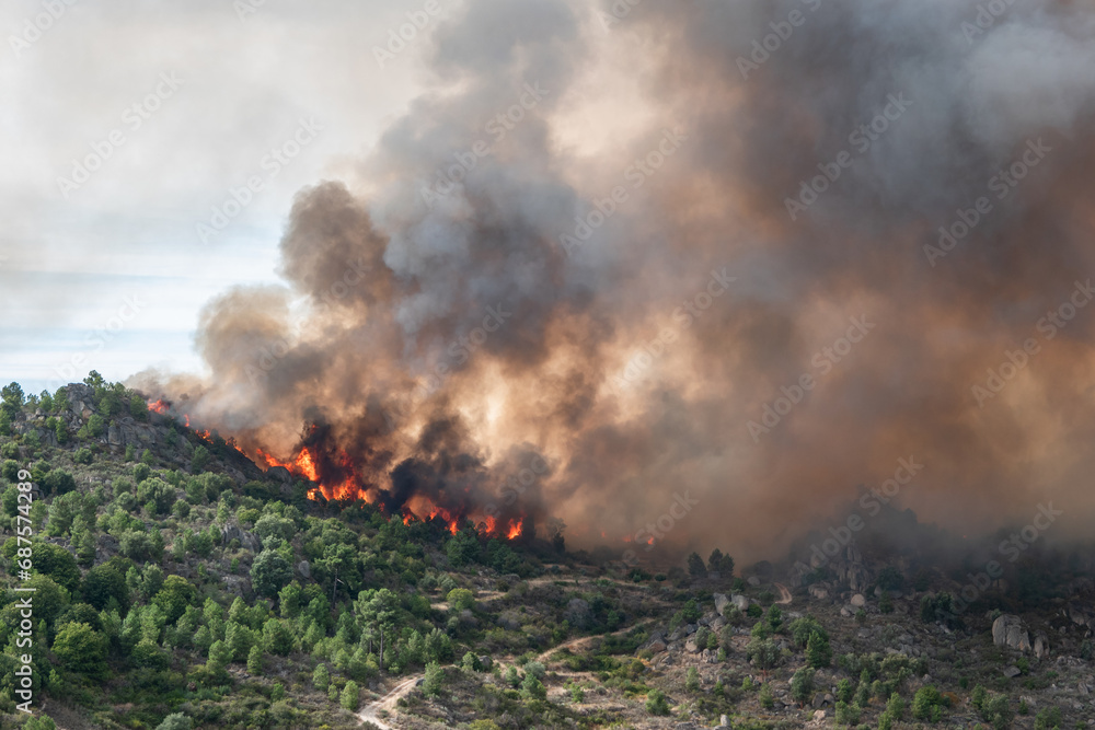 Incêndio florestal de grandes proporções com grandes labaredas a queimar o monte deixando uma enorme nuvem de fumo no ar