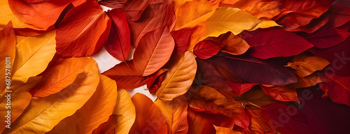 Wallpaper Mural Versatile essence of a color gradient, seamlessly transitioning from light brown to orange, gold, and yellow. This composition is a visual chameleon, capable of evoking the warm. Torontodigital.ca