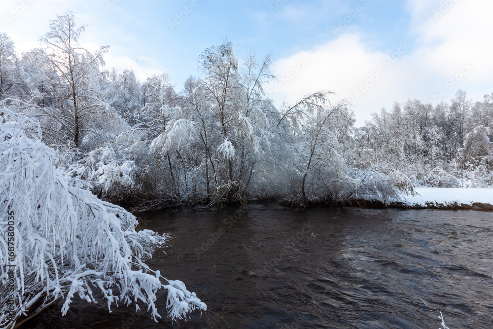 Fast flowing river in winter. Snow-covered trees on the shore Fast flowing river in winter. Snow-covered trees on the shore