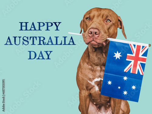 Happy Australia Day. Lovable, charming dog and Australian Flag. Closeup, indoors. Studio shot. Congratulations for family, loved ones, relatives, friends and colleagues. Pet care concept