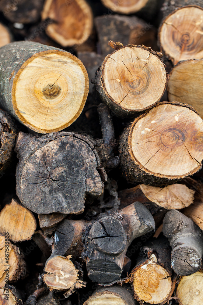 Sawed tree trunks, firewood, cut wood.
