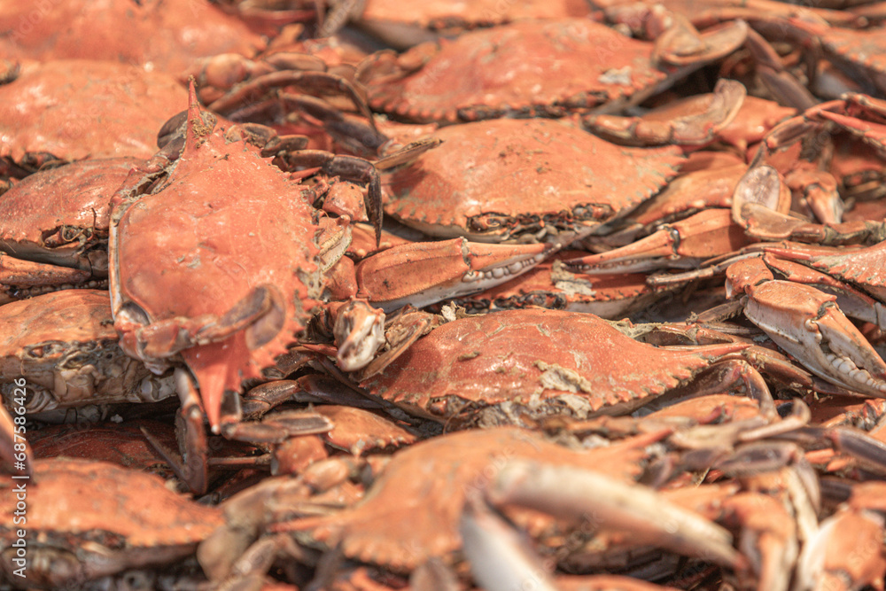 Crabs on sale at the seafood market Crabs on sale at the seafood market