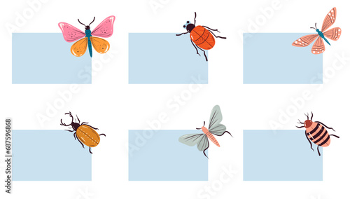 Bug butterfly banner card text place concept. Vector flat graphic design illustration