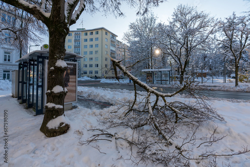 Wallpaper Mural großer abgebrochener Ast wegen hoher Schneelast in Wels Oberösterreich Torontodigital.ca