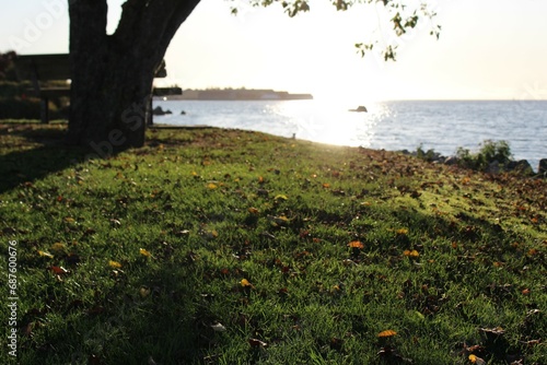 Afternoon sunlight streaks the surface of sea in Marine Park