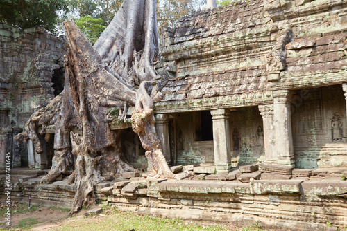 Preah Khan Temple in Angkor, Cambodia, was created by Jayavarman VII in the 12th century