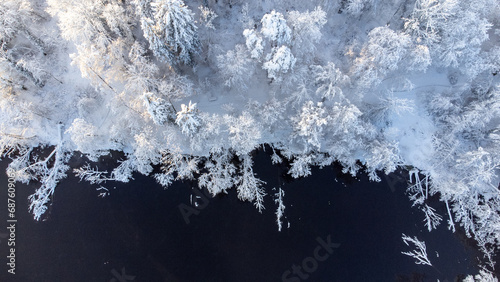 Verschneiter Wald am See von oben