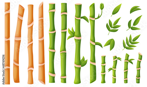 Asian bamboo plants and stems. Cartoon isolated bamboo stalks with leaves. Natural botanical oriental elements, decorative sticks nowaday vector set