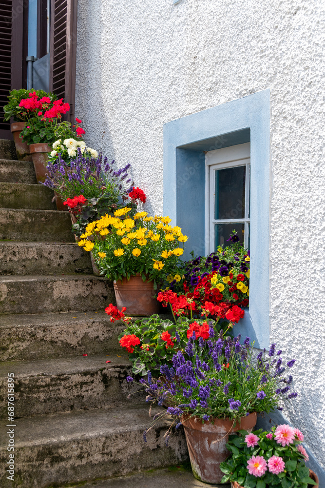 Fototapeta premium Steps adorned with a variety of flowers in pots