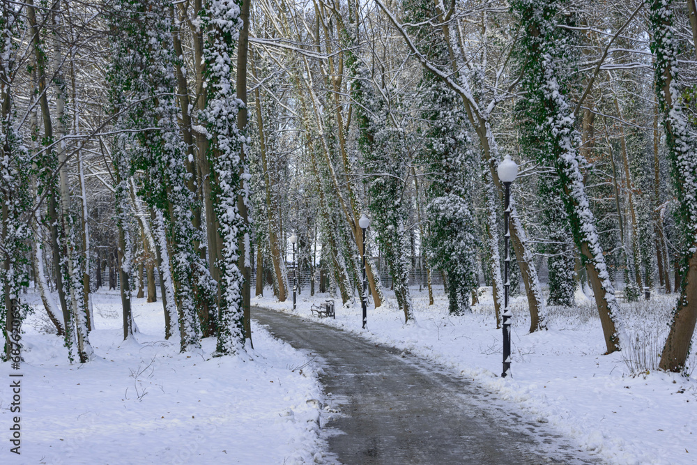 Obraz na plátně Park zimą