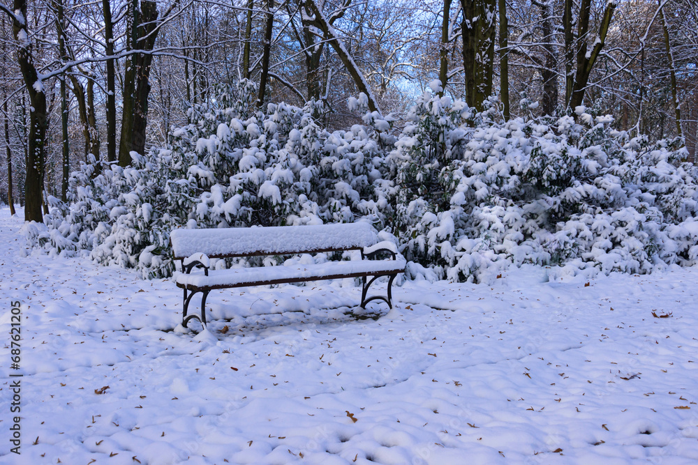 Park zimą. Parkowa alejka, ziemia, poblskie krzewy i drzewa pokrywa warstwa śniegu. W centrum widać parkową ławkę również pokrytą śniegiem.