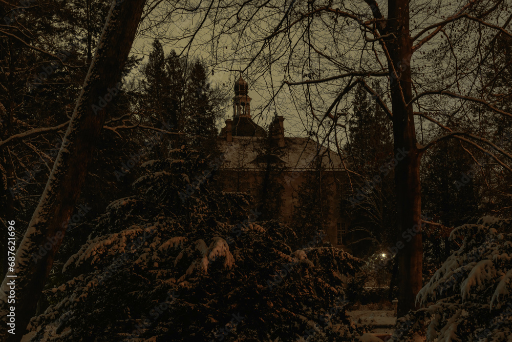 Pałac w parku zimą wśród drzew i krzewów są one pokryte warstwą śniegu, który pokrywa również ziemię. Jest noc, pałac jest skryty w mroku oświetlony nikłym światłem pobliskich latarni. - obrazy, fototapety, plakaty 