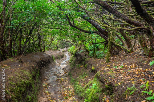 Footpath in Anaga Rural Park on Tenerife island, Spain © Noradoa