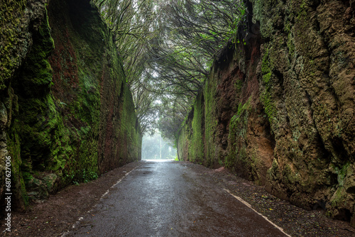 Old road to English Peak, Anaga Rural Park on Tenerife island, Spain