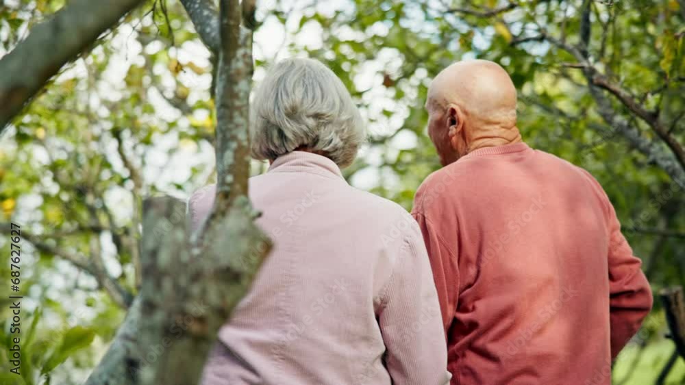 Senior couple, tree and walking back with support and smile from nature with love and care. Countryside, freedom and wellness with happy woman and man together in retirement and green forest