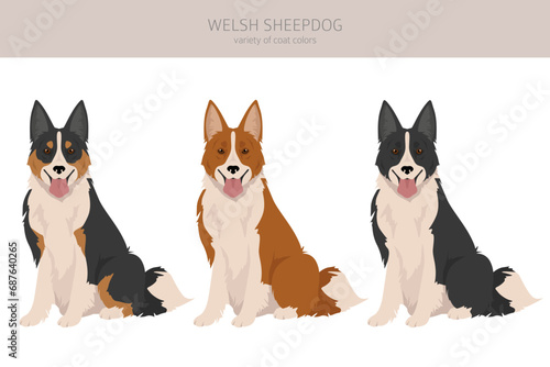 Welsh Sheepdog clipart. All coat colors set.  All dog breeds characteristics infographic
