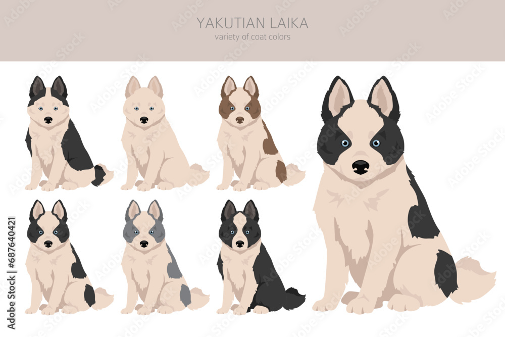 Yakutian Laika  puppy clipart. Different poses, coat colors set
