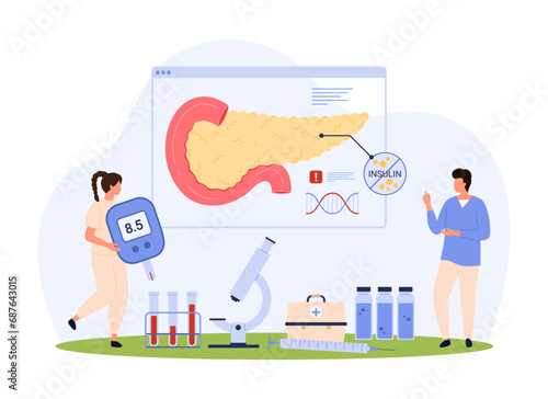 Diabetes type 1 and 2, diagnosis of endocrinology vector illustration. Cartoon tiny people research pathology of pancreas and receptors to insulin on infographic anatomy chart, holding glucometer photo