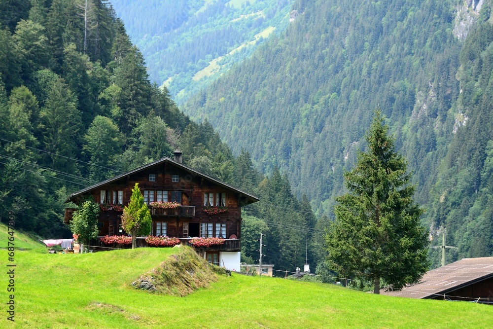 Paisaje alpino en Grindelwald, Cantón de Berna, Suiza Paisaje alpino en Grindelwald, Cantón de Berna, Suiza