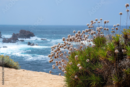 Il territorio Costa Paradiso racchiude un tratto di costa nel nord Sardegna, vicino a Castelsardo, Isola Rossa e Vignola. photo