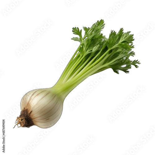 Celery Seed isolated on transparent background