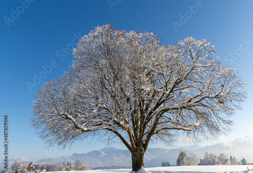 Winter in Riedering photo