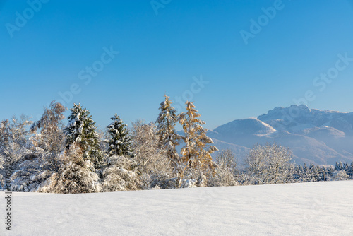 Wallpaper Mural Winter in Riedering Torontodigital.ca