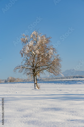 Winter in Riedering