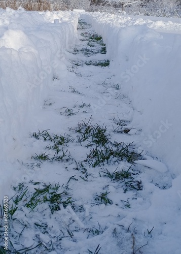 a path cleared of snow