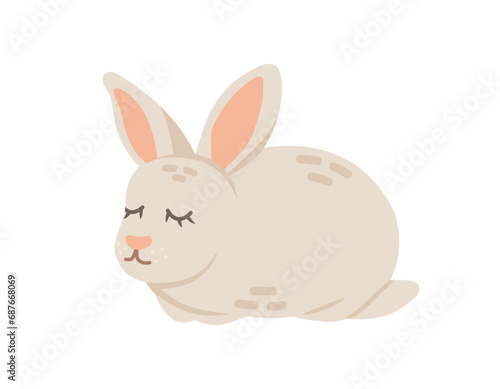 Cartoon rabbit animal isolated on white. Cute character, vector zoo, wildlife poster. © Iulia