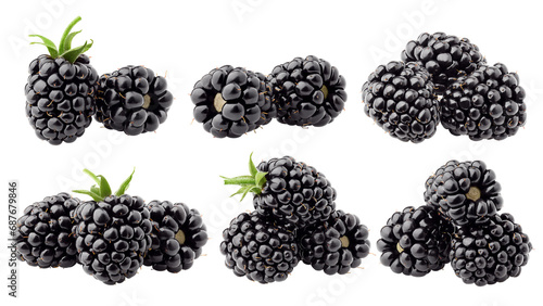 Bild auf Leinwand blackberry isolated on white background, full depth of field