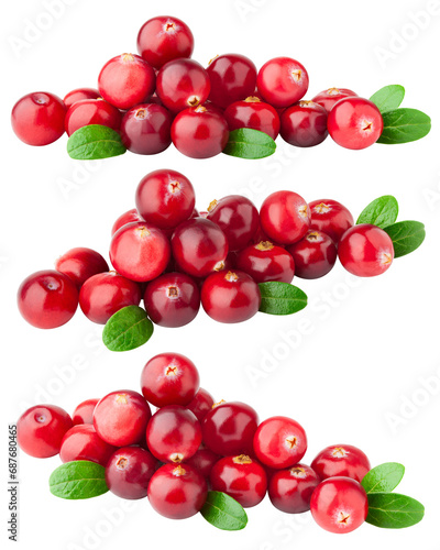 cranberry isolated on white background, full depth of field