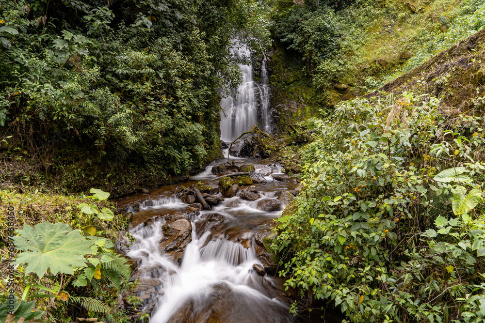 Obraz premium Beautiful waterfall and forest in the mountains