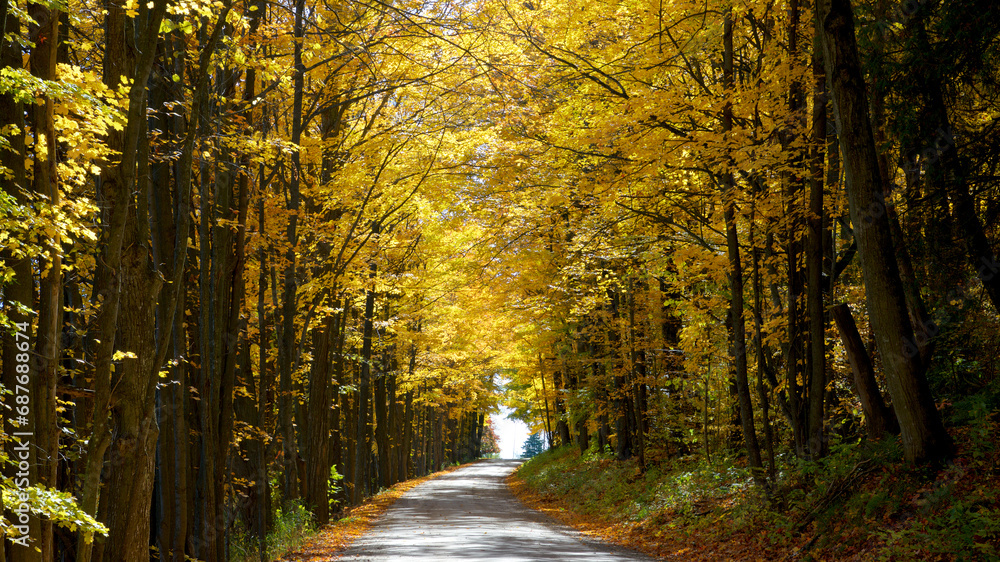 Tranquility scene of a country road in autumn