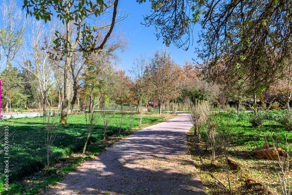 Fototapeta premium Empty public park in Ifran, Morocco