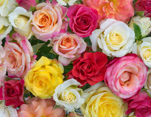 Close-up of a bouquet of fresh  xxxxx roses